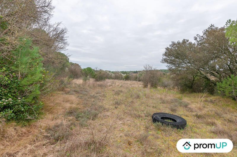 Terrain agricole - 10 601 m²