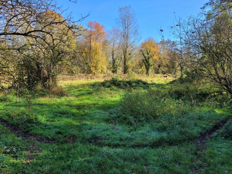 Maison - 400 m² - 4 pièces