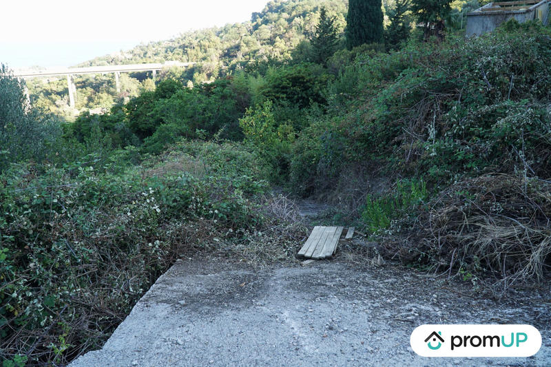 Terrain de loisirs - 1 195 m²