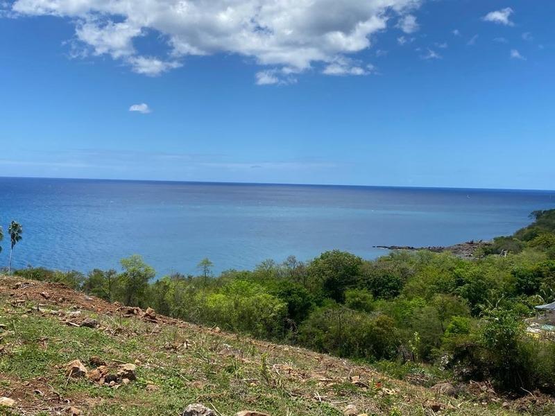 Terrain constructible - 1 039 m²