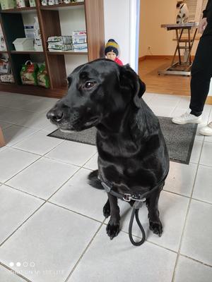 Cabinet Vétérinaire des Sources