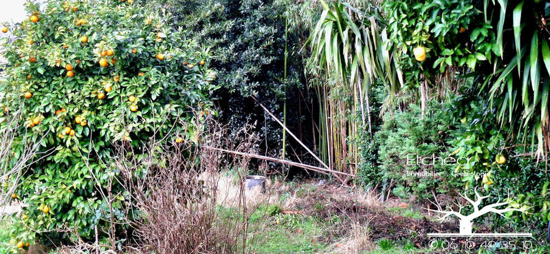 Villa - 90 m² - 4 pièces