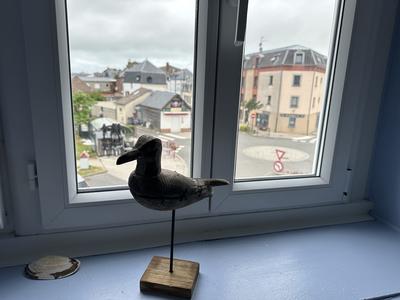 Appartement - 15 m² - 2 pièces