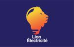 Lion Electricité