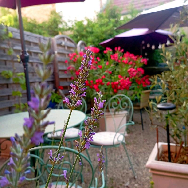 Fonds de commerce - Hôtellerie / Restauration - 94 m²