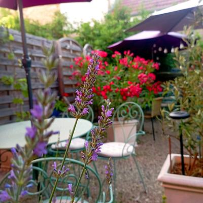 Fonds de commerce - Hôtellerie / Restauration - 94 m²