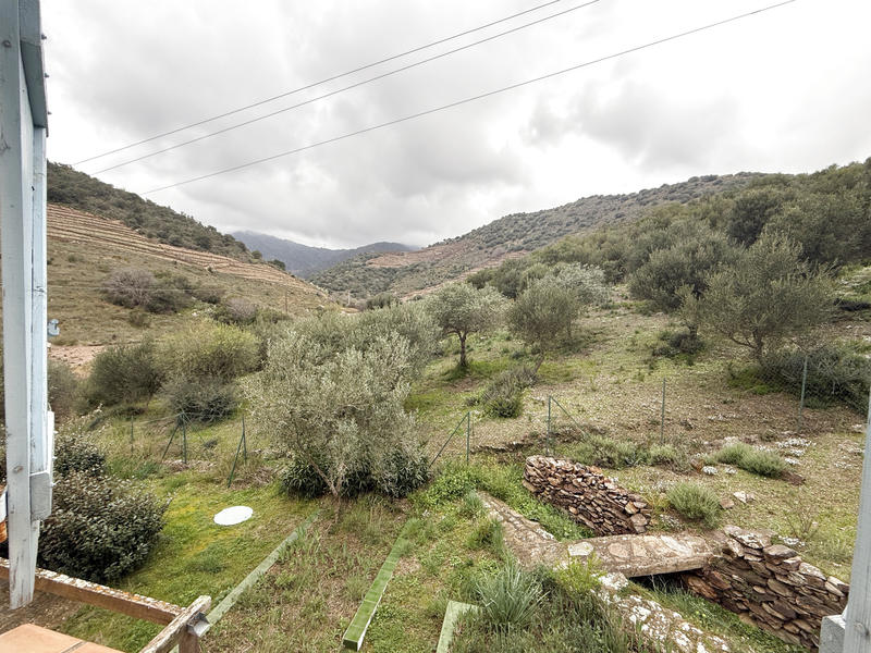 Maison - 227 m² - 10 pièces