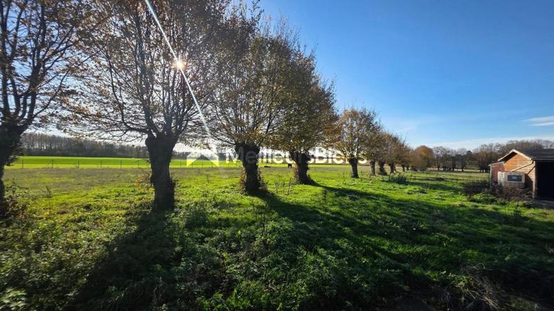 Maison de campagne - 118 m² - 5 pièces