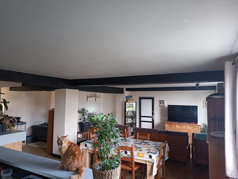 Maison - 250 m² - 6 pièces