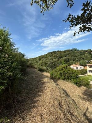 Terrain constructible - 1 261 m²