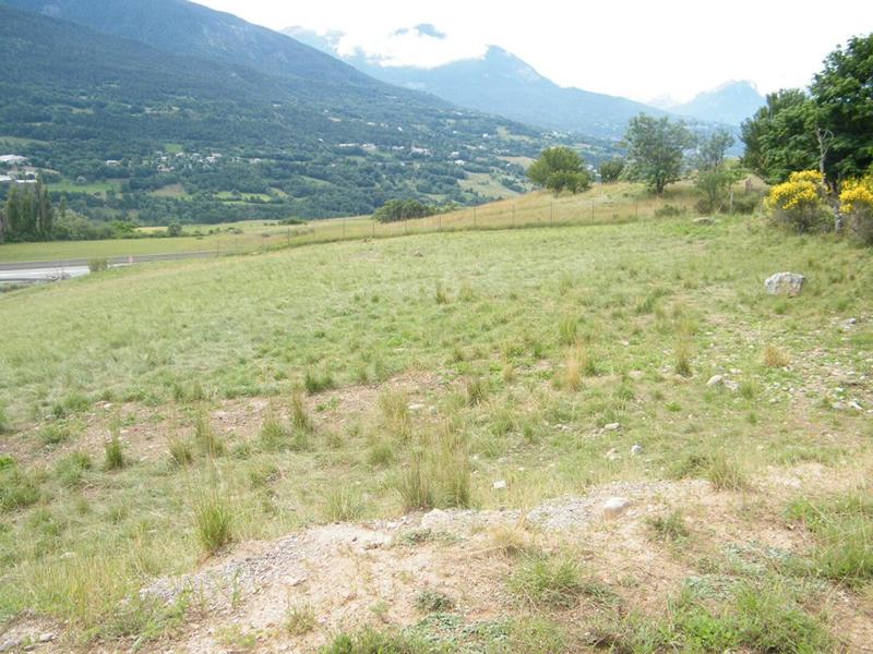 Terrain - 60 323 m²