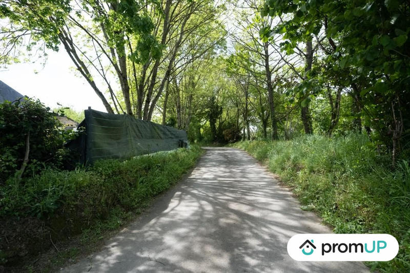 Maison ancienne - 580 m² - 15 pièces