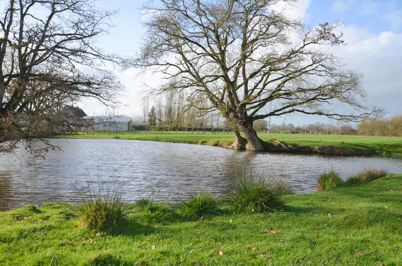 Maison - 227 m² - 8 pièces