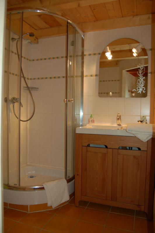 Châlet - 287 m² - 7 pièces