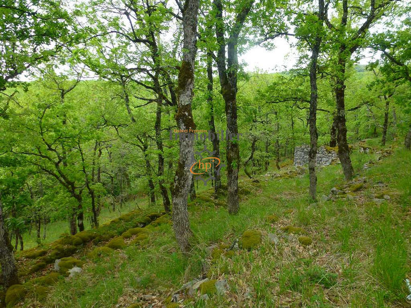 Maison - 105 m² - 1 pièce