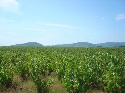 Maison - 592 m² - 14 pièces