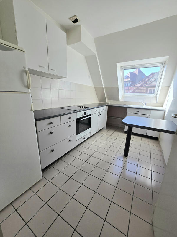 Appartement - 55 m² - 2 pièces