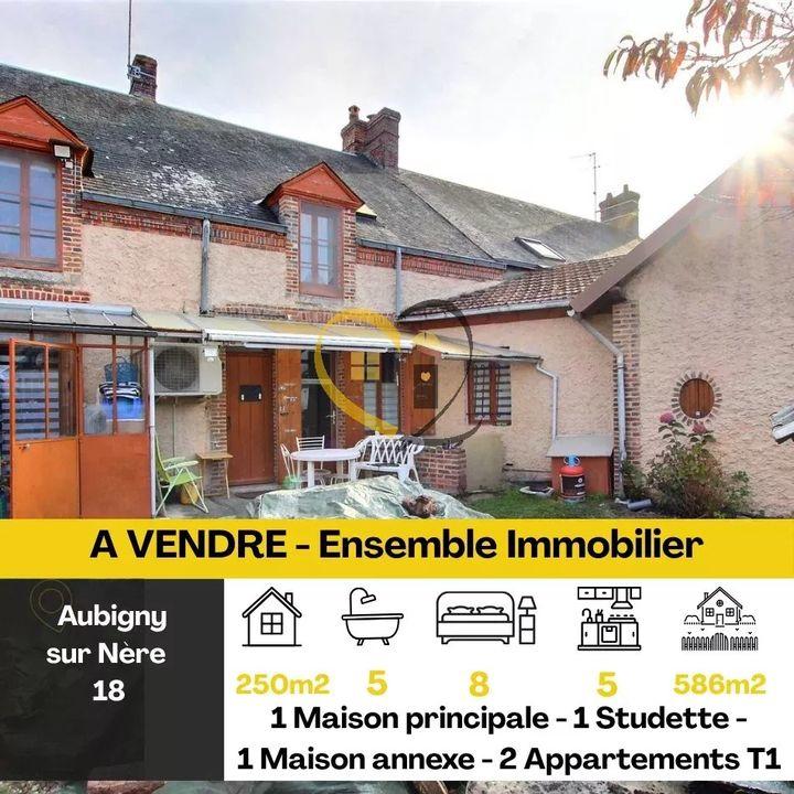 Maison - 250 m² - 13 pièces