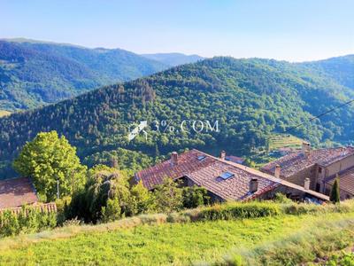 Mas - 266 m² - 11 pièces