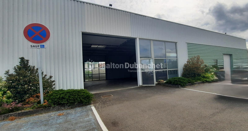 Local d'activités - 582 m² - 6 pièces