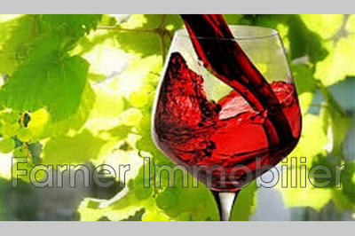 Fonds de commerce - Magasins - 40 m²