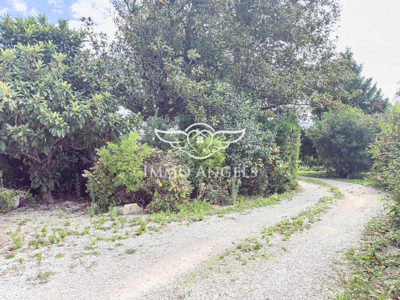 Maison ancienne - 362 m² - 10 pièces