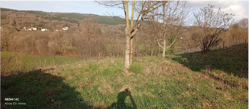 Villa - 136 m² - 6 pièces