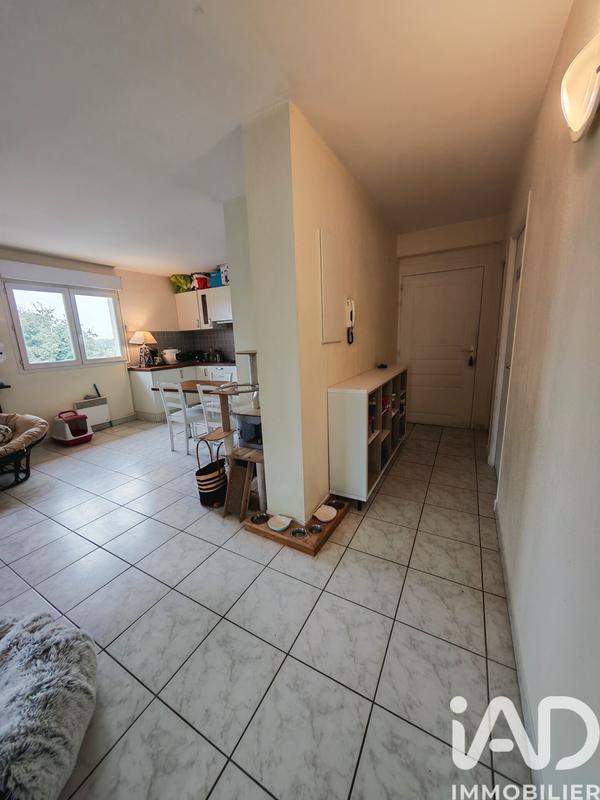 Appartement - 55 m² - 2 pièces