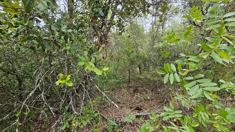 Terrain agricole - 11 136 m²