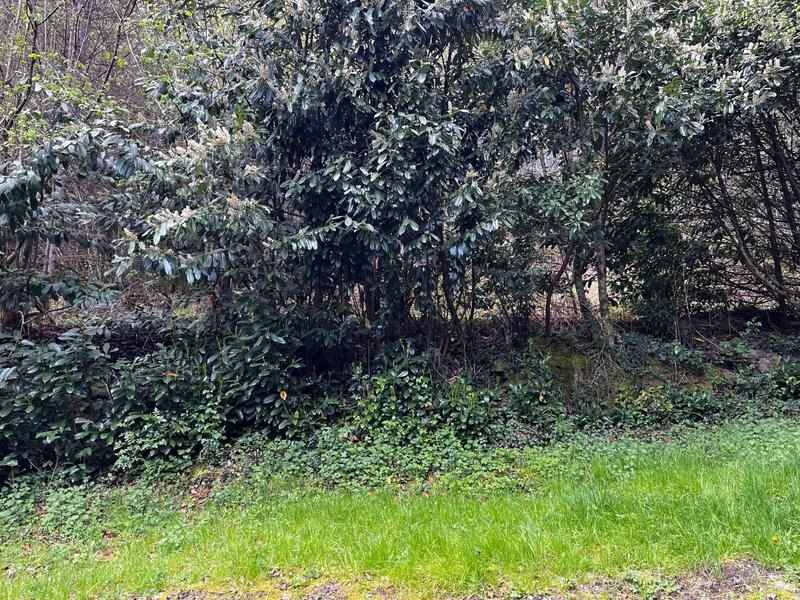 Maison - 65 m² - 2 pièces