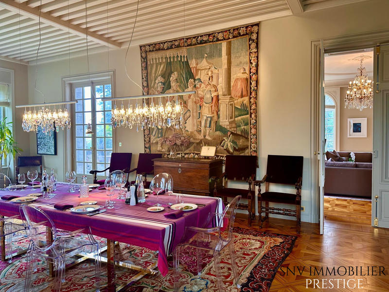 Château - 876 m² - 18 pièces