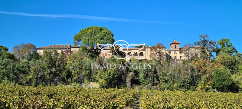 Mas - 2 500 m² - 30 pièces