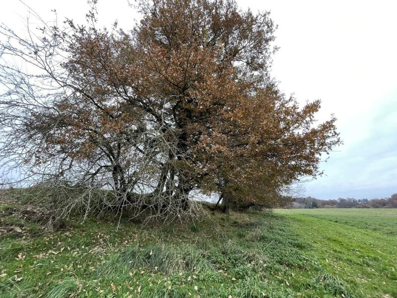 Terrain - 31 860 m²