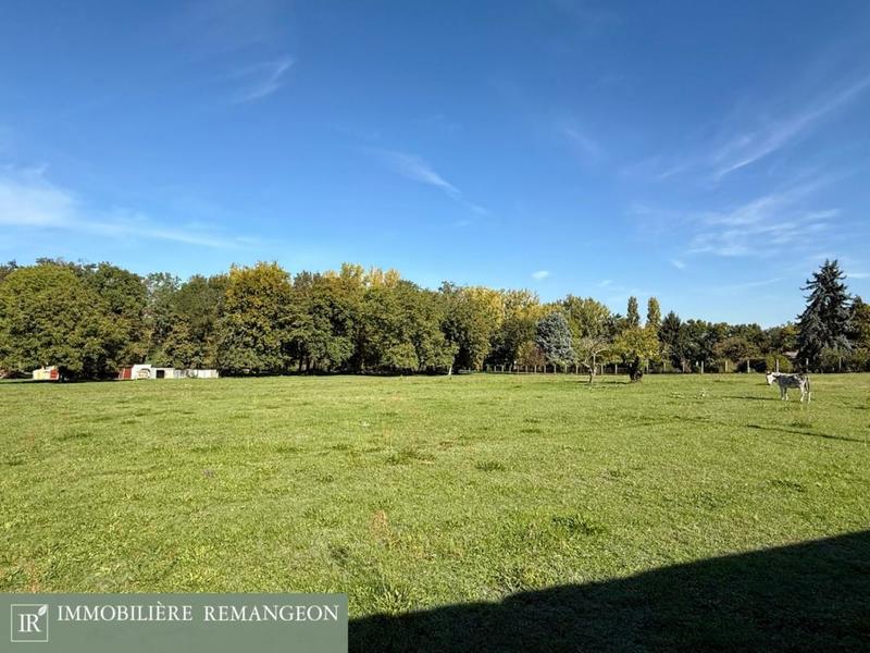 Maison de maîtres - 290 m² - 12 pièces