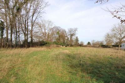 Terrain constructible - 950 m²