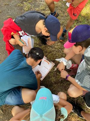 Stage enfants Multi activités - Vacances de la Toussaint