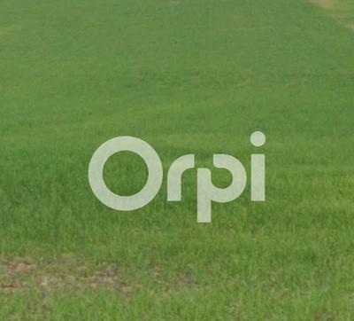 Terrain constructible - 1 711 m²