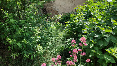 Maison de village - 31 m² - 1 pièce