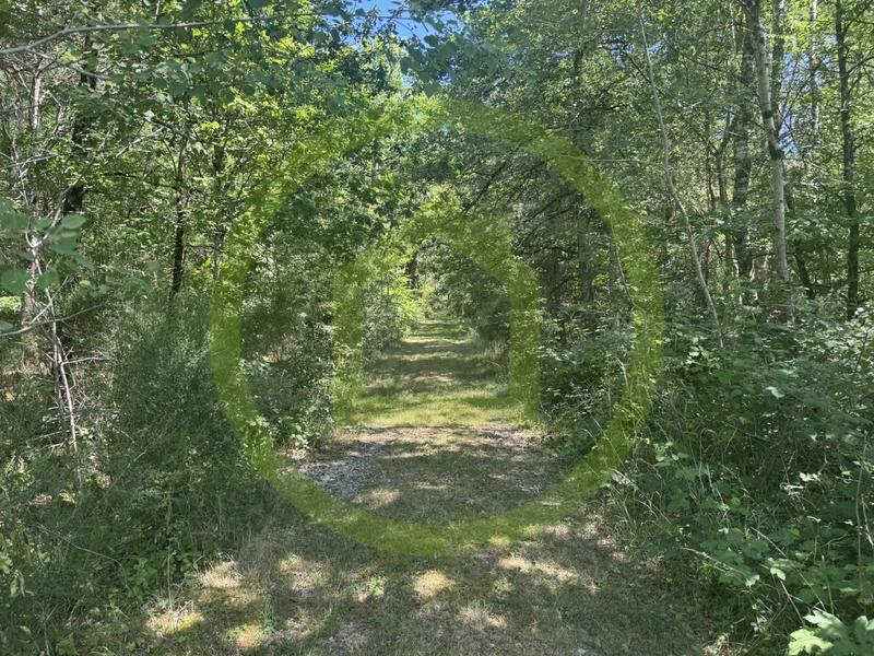 Propriété - 143 m² - 6 pièces