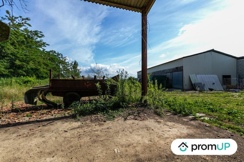 Terrain agricole - 5 000 m²