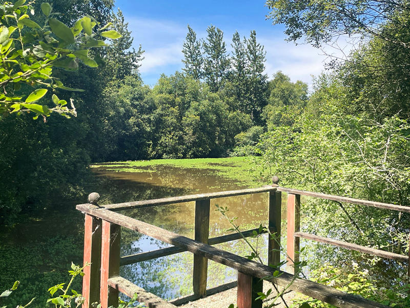 Maison - 130 m² - 9 pièces