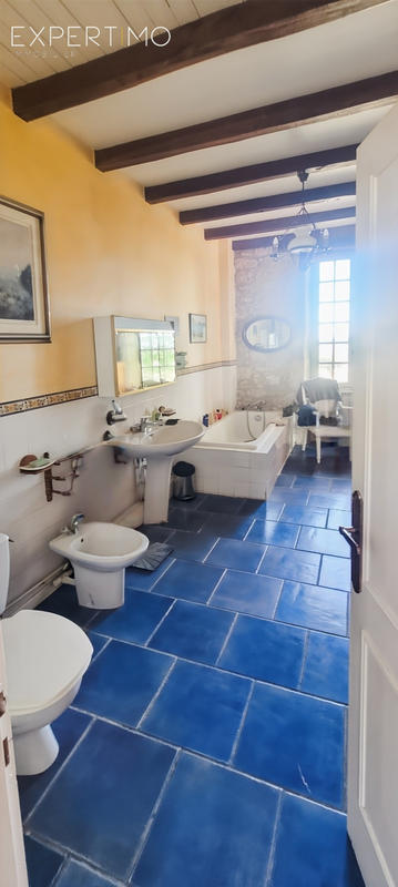 Maison - 250 m² - 7 pièces