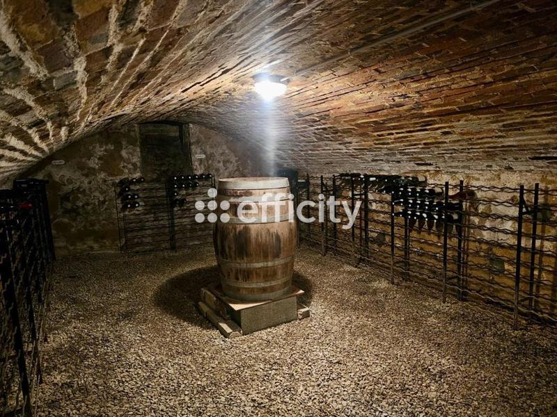 Maison - 304 m² - 10 pièces