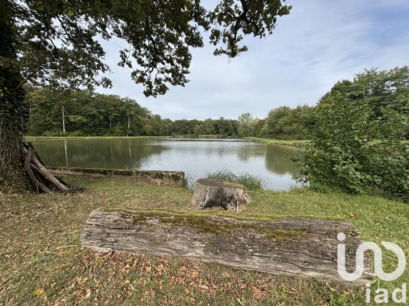 Terrain - 40 000 m²