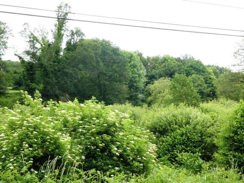 Terrain agricole - 28 430 m²