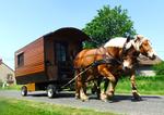 Les attelages du gros bois - vacances en roulotte avec cheval - balade en calèche