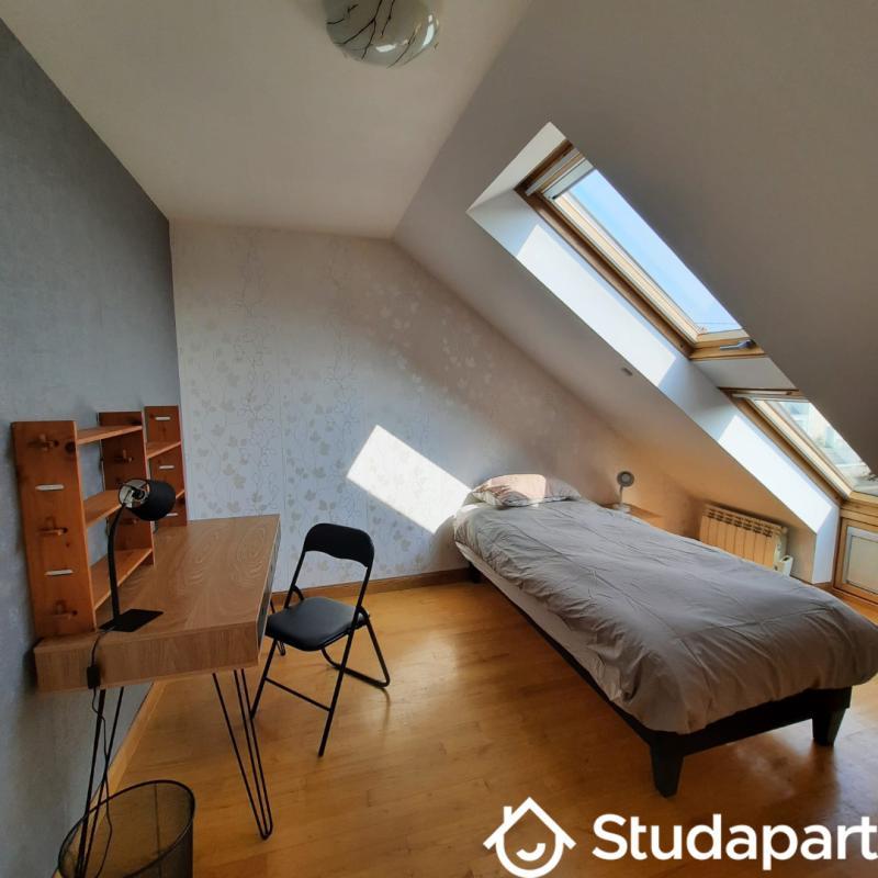 Chambre - 15 m² - 1 pièce