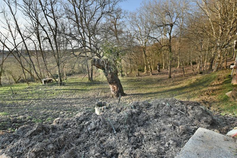 Ferme - 319 m² - 11 pièces