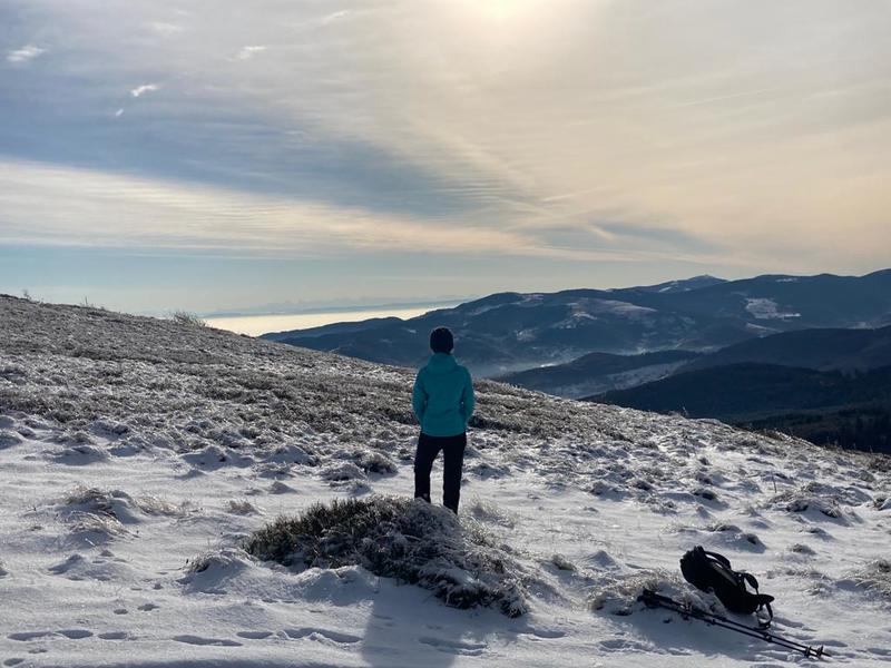 Bain de forêt hivernal et sophrologie