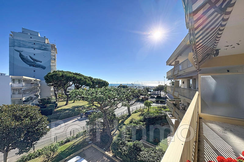 Appartement - 30 m² - 1 pièce